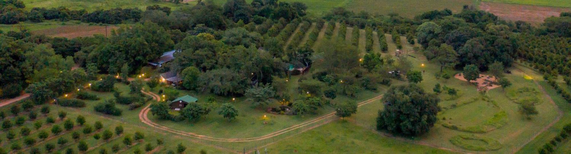 Kiaat Bungalows Hazyview Eksteriør bilde